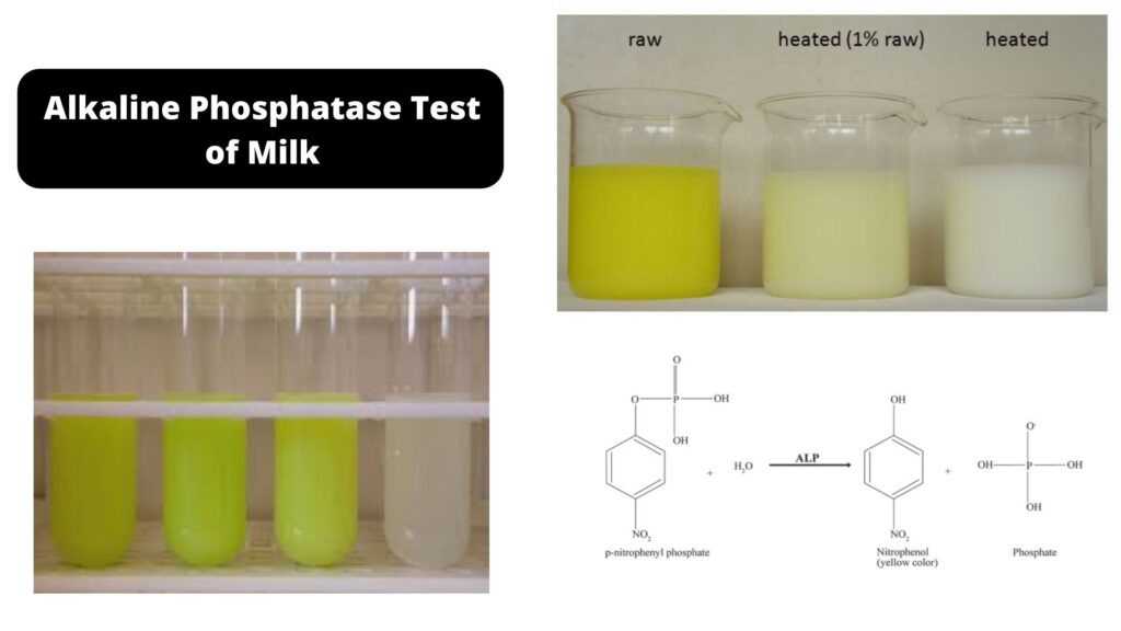 Alkaline Phosphatase Test of Milk - Determination of Phosphatase ...