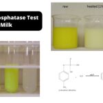 Alkaline Phosphatase Test of Milk- Determination of Phosphatase Activity of Milk