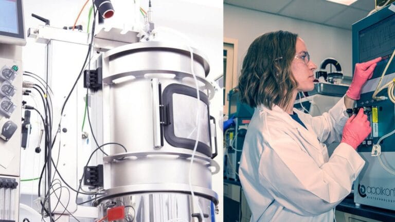 Bioprocess Engineering Definition, Types, Uses