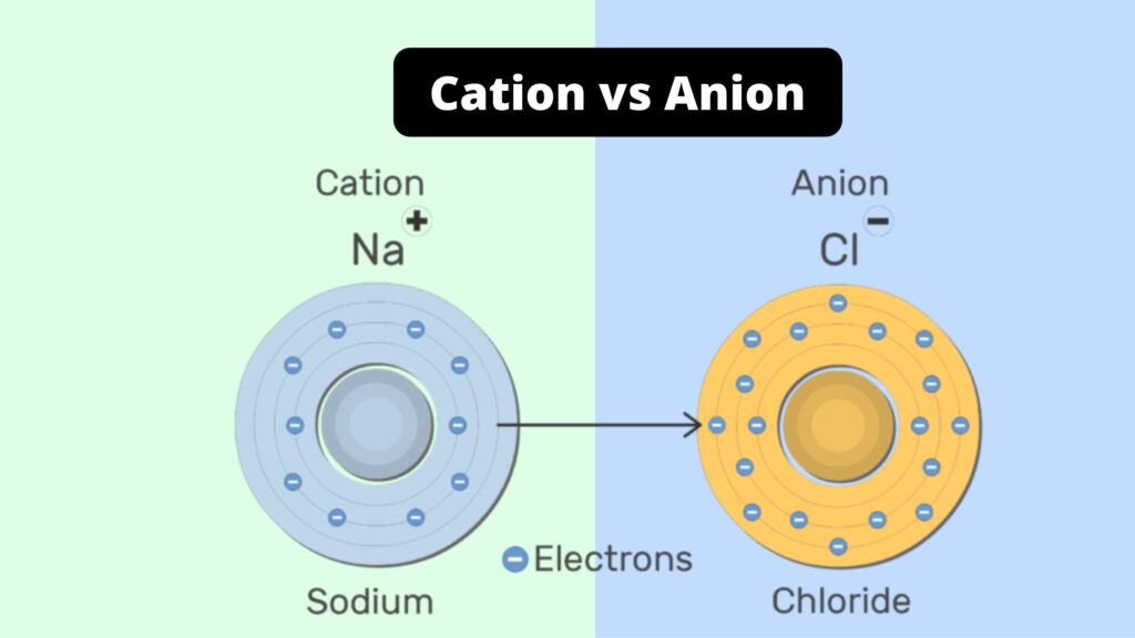 Difference Between Cation And Anion Cation Vs Anion Biology Notes Online