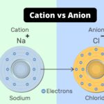 Difference Between Cation and Anion - Cation vs Anion