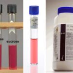 Cystine Tryptic Agar - Composition, Preparation, Principle, Uses