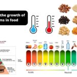 Factors affecting the growth of microorganisms in food