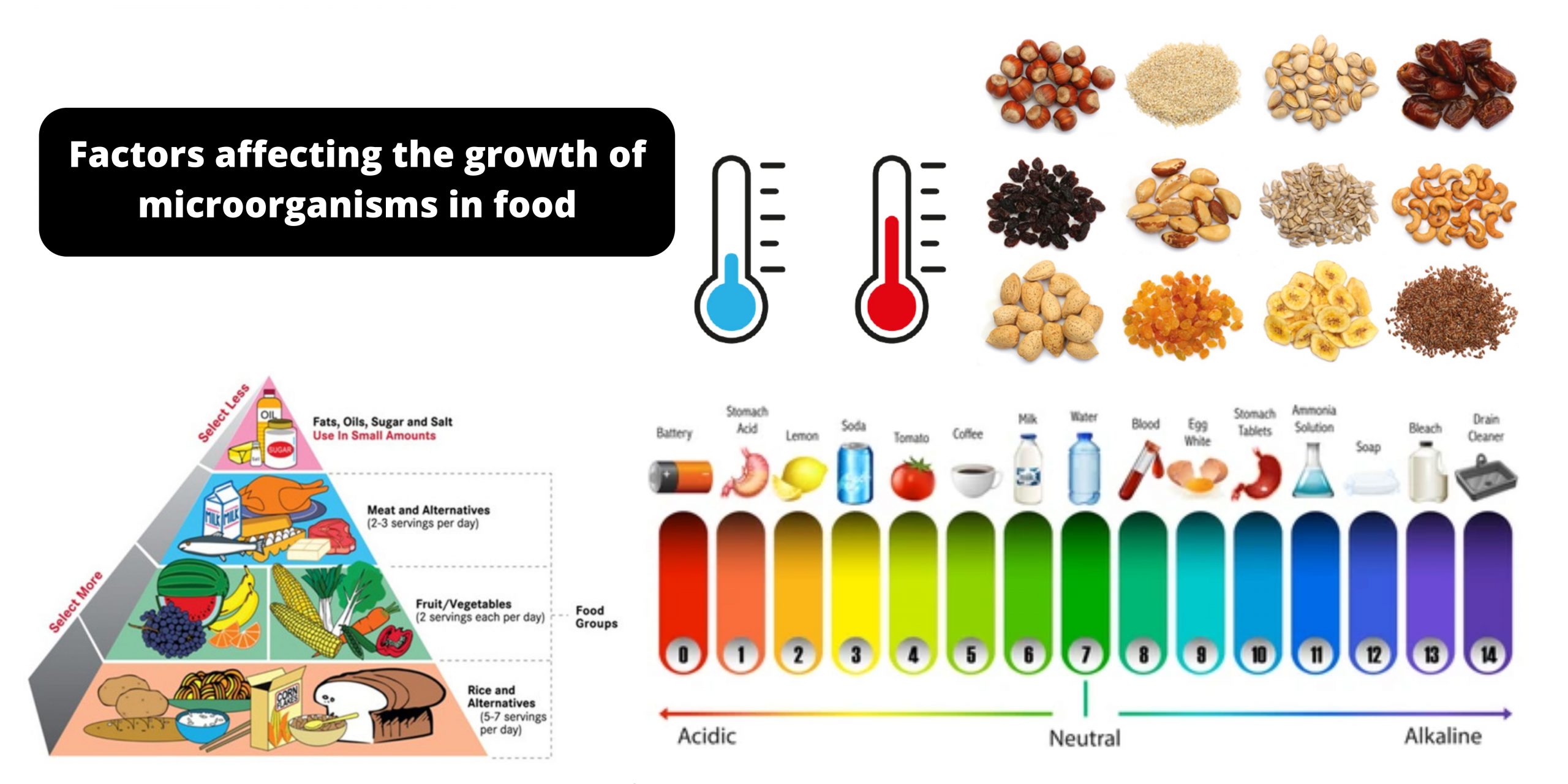 Factors affecting the growth of microorganisms in food