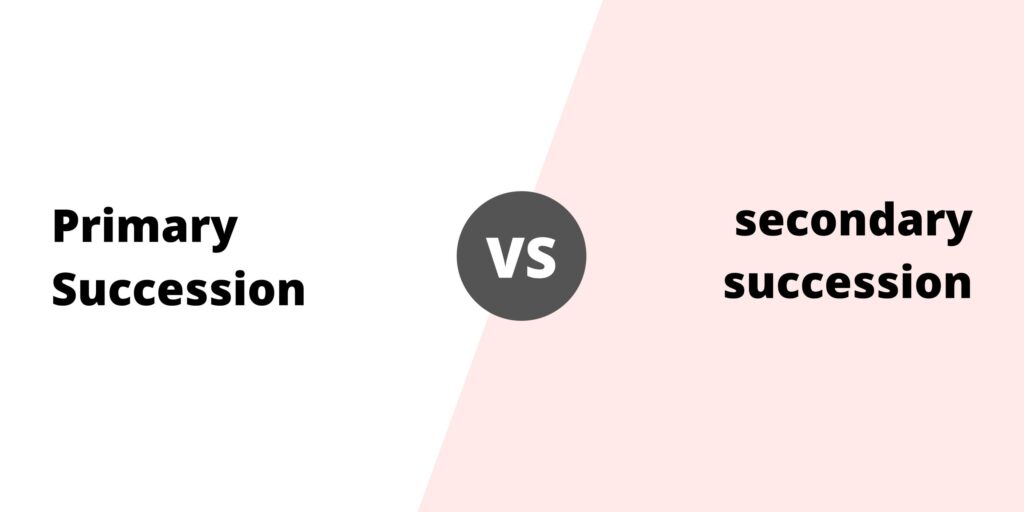 Differences Between Primary And Secondary Succession Primary Vs Secondary Succession Biology 6314