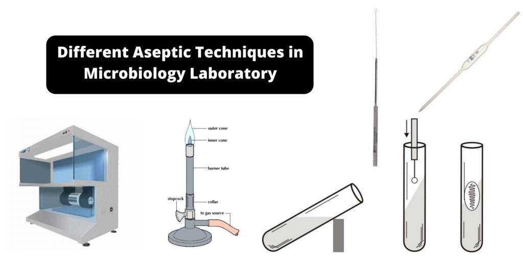 Different Aseptic Techniques in Microbiology Laboratory - Biology Notes ...