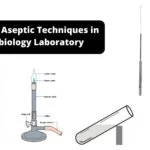 Different Aseptic Techniques in Microbiology Laboratory