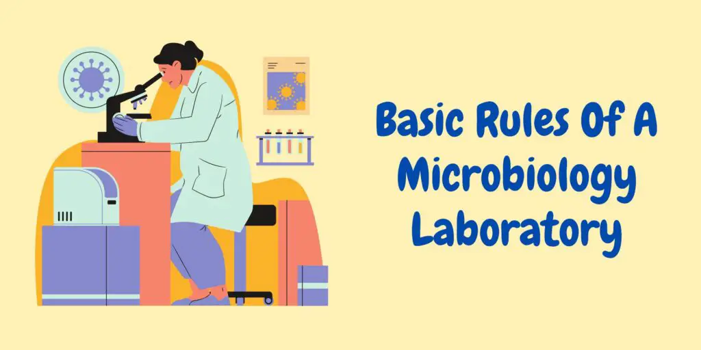 Laboratory Rules - Basic Rules Of A Microbiology Laboratory - Biology ...