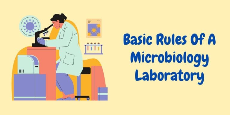 Laboratory Rules: Basic Rules Of A Microbiology Laboratory