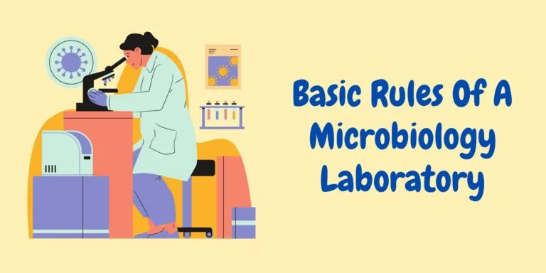 Laboratory Rules: Basic Rules Of A Microbiology Laboratory