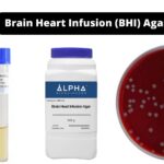Brain Heart Infusion (BHI) Agar - Composition, Principle, Preparation, Results, Uses