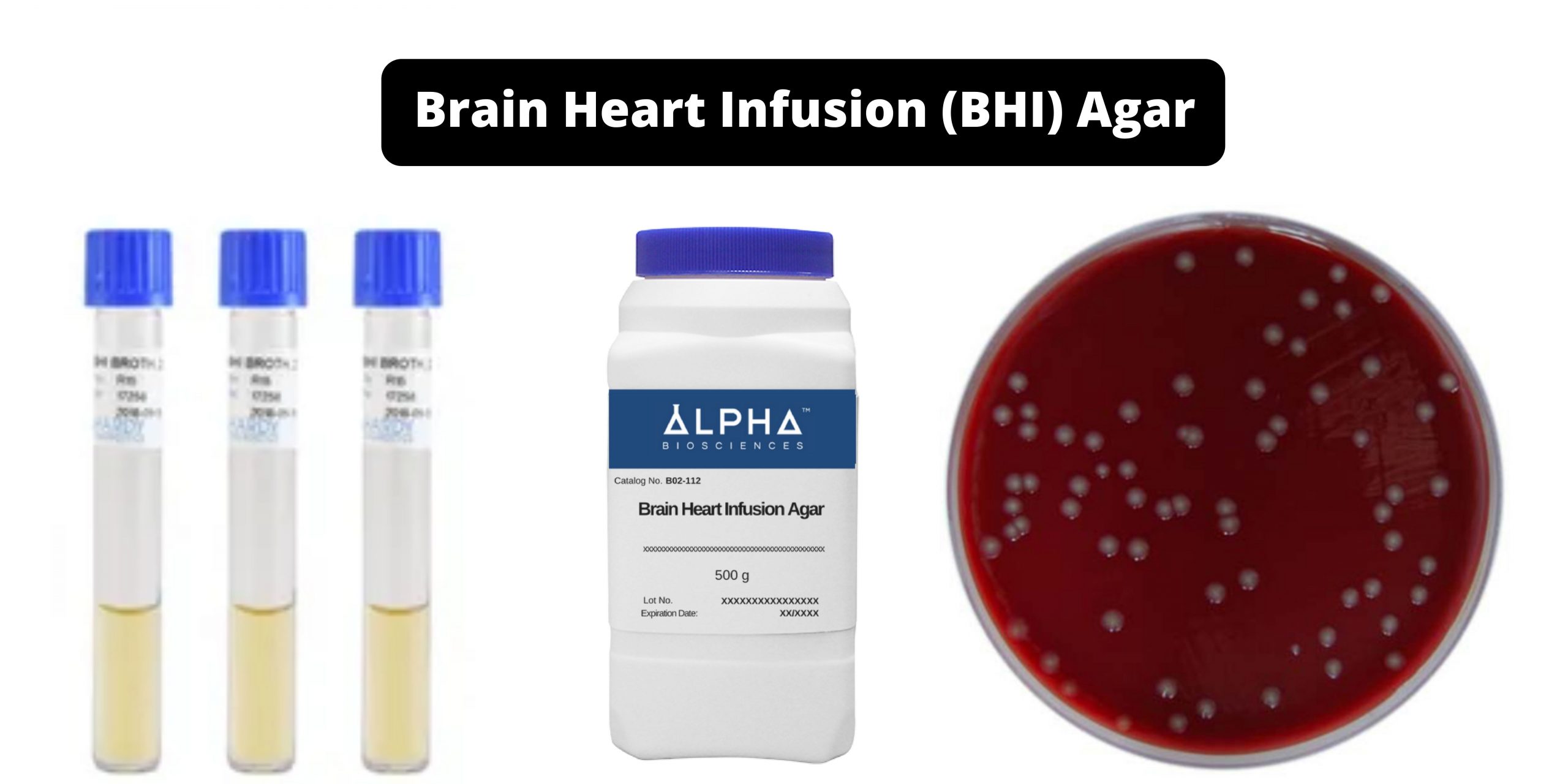 Brain Heart Infusion (BHI) Agar - Composition, Principle, Preparation, Results, Uses