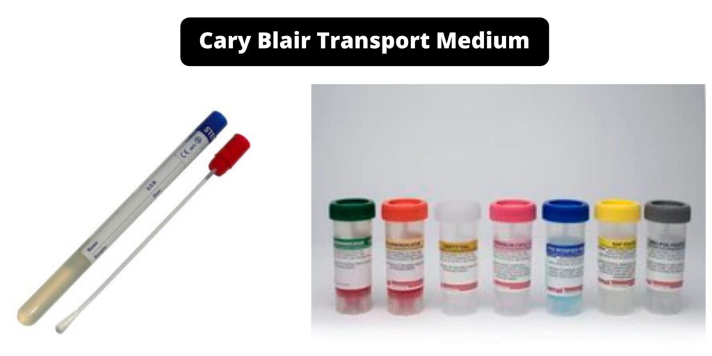 Cary Blair Transport Medium - Principle, Composition, Preparation, Uses ...