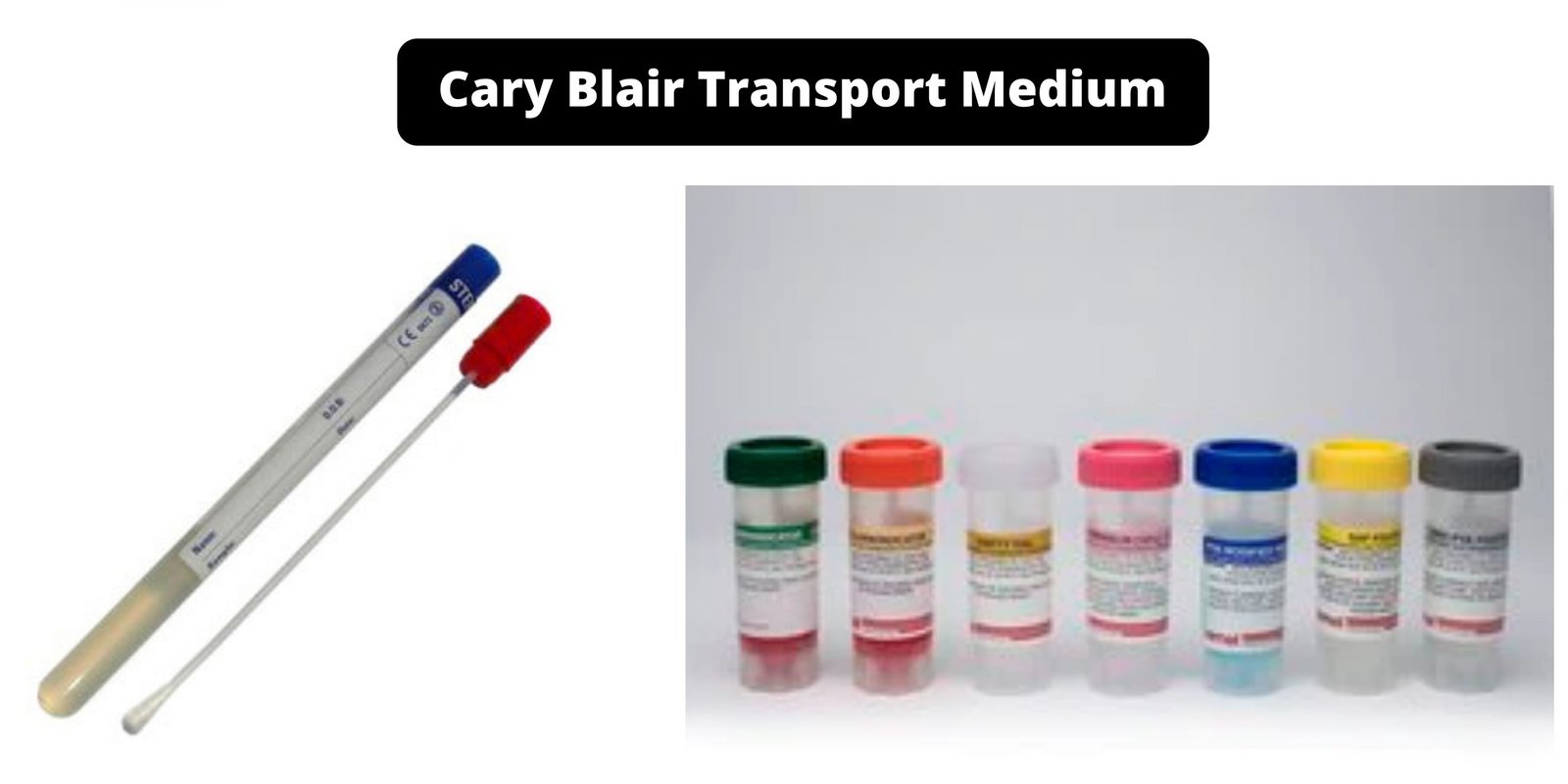 Cary Blair Transport Medium - Principle, Composition, Preparation, Uses, Results