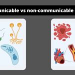 Difference Between Communicable and non -communicable diseases
