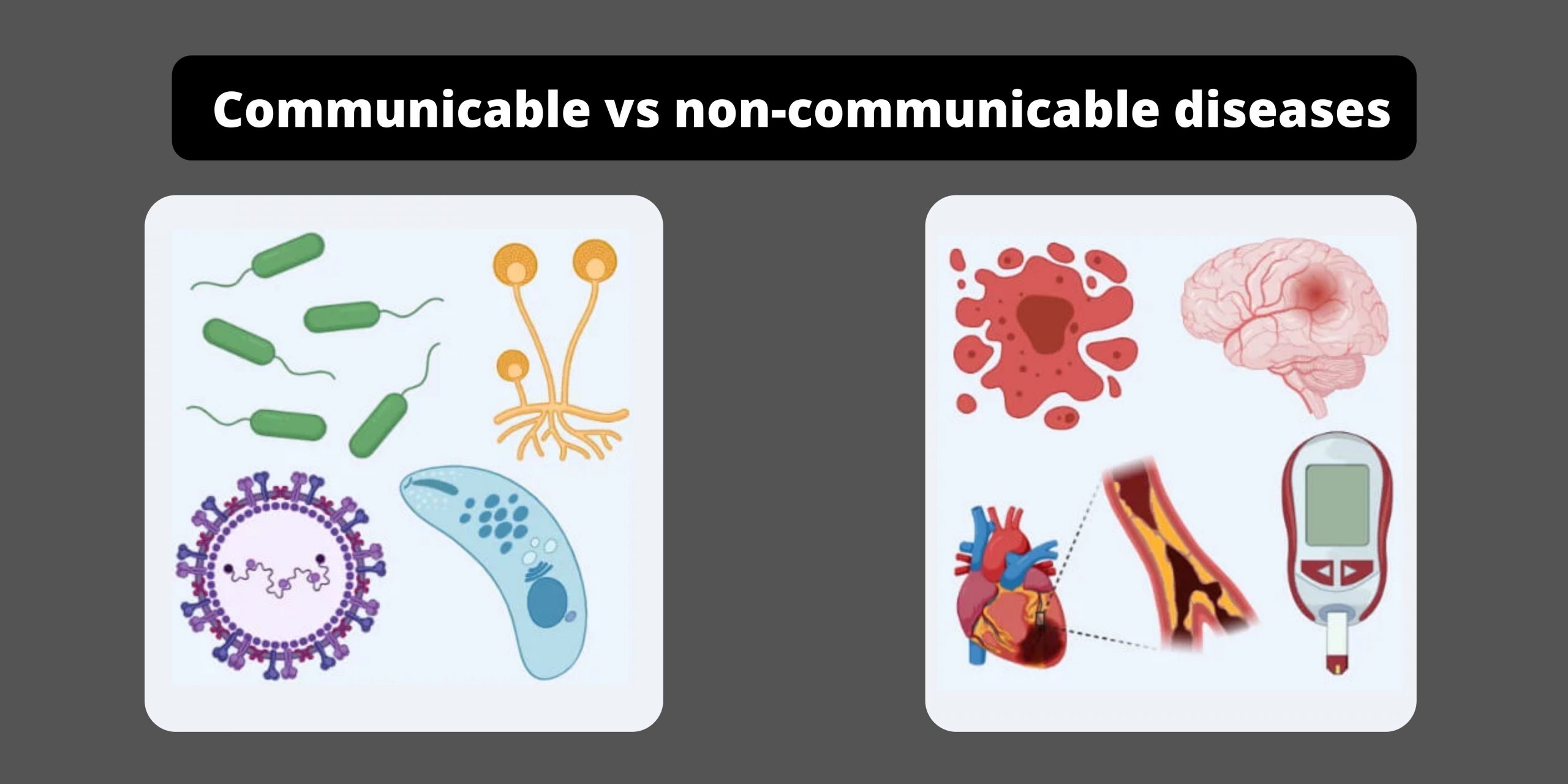 Difference Between Communicable and non -communicable diseases