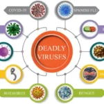 The most lethal viruses of all Time