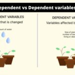 Difference Between Independent and Dependent variables