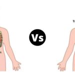 Difference Between Inhalation and Exhalation - Inhalation vs Exhalation