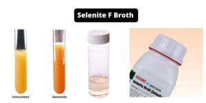 Selenite F Broth – Composition, Principle, Preparation, Results, Uses