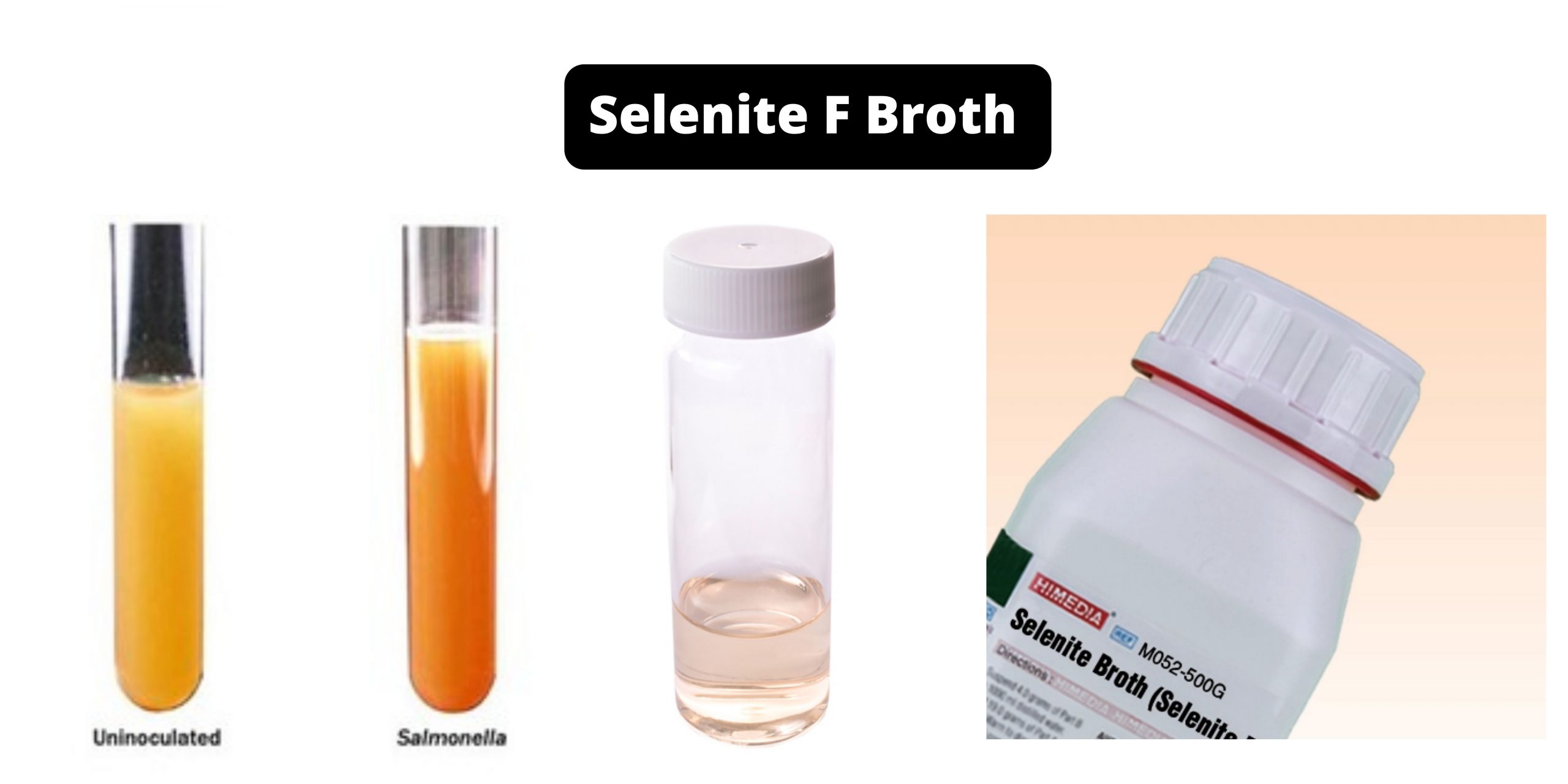 Selenite F Broth - Composition, Principle, Preparation, Results, Uses