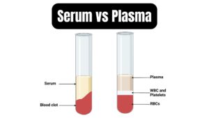 Differences between Serum and Plasma – Serum vs Plasma