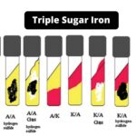 Triple Sugar Iron (TSI) Agar - Composition, Principle, Preparation, Results, Uses