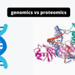 Differences Between Genomics and Proteomics