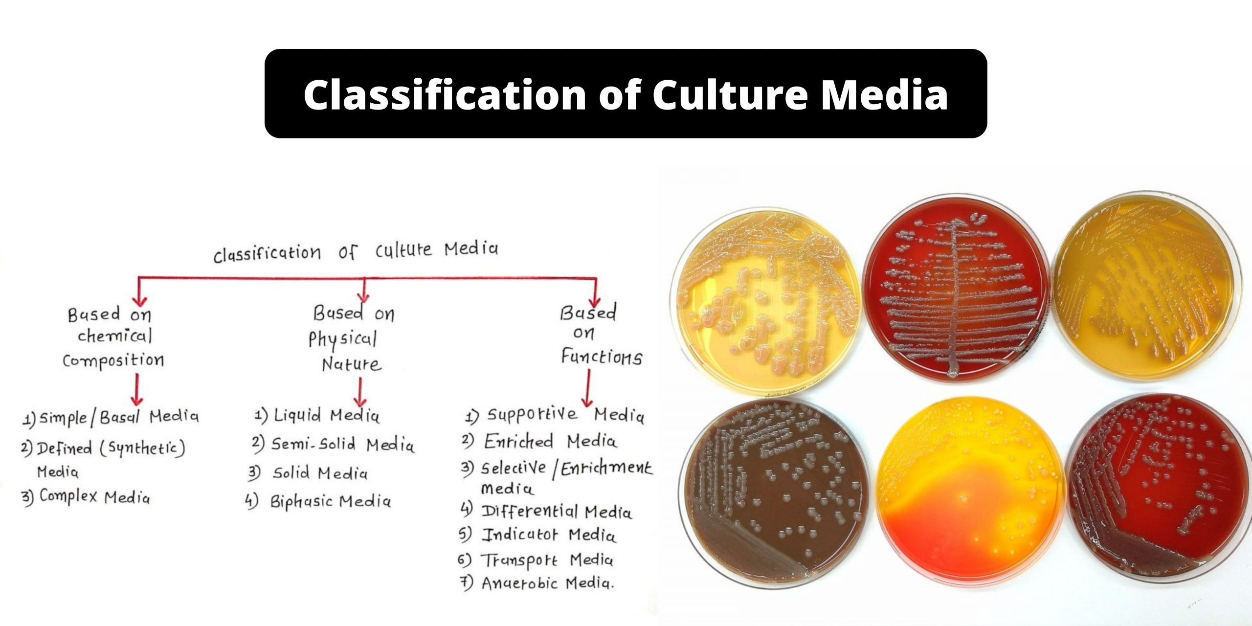 Classification of Culture Media