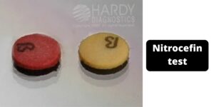 Nitrocefin test – Principle, Procedure, Uses