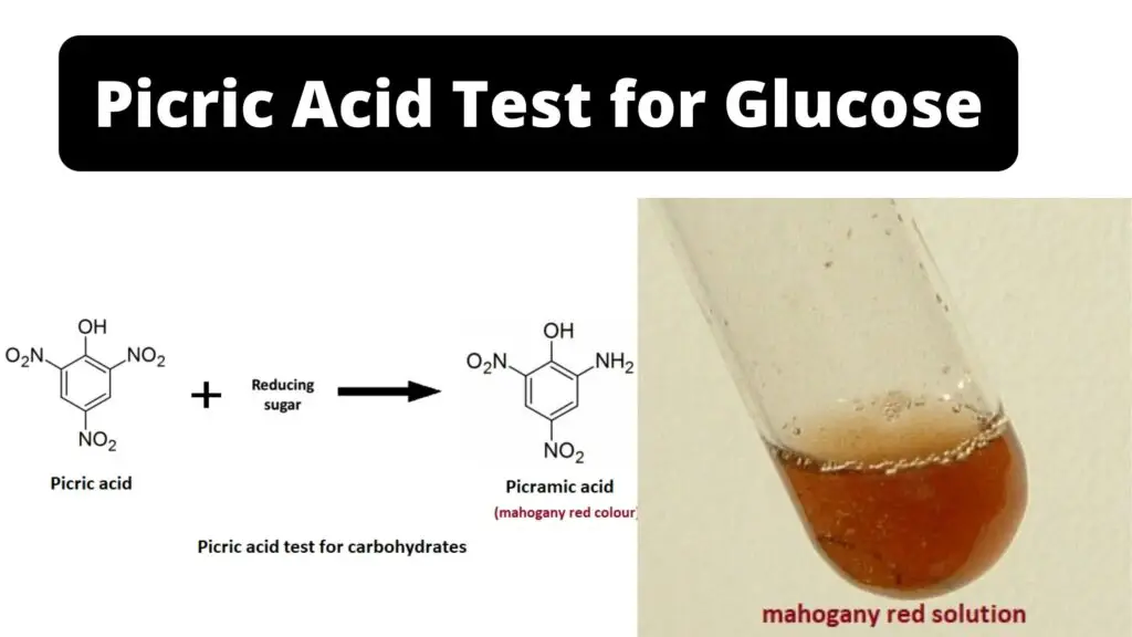 Picric Acid Test for Glucose - Principle, Procedure, Result - Biology ...