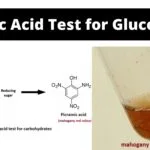 Picric Acid Test for Glucose - Principle, Procedure, Result