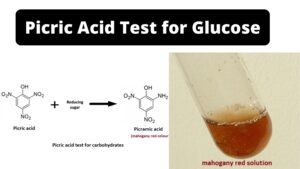 Picric Acid Test for Glucose – Principle, Procedure, Result
