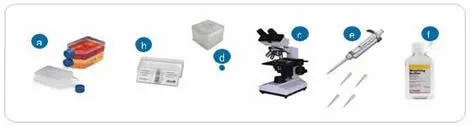 Hemocytometer and Haemocytometry