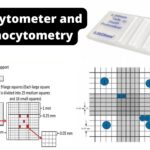 Hemocytometer and Haemocytometry