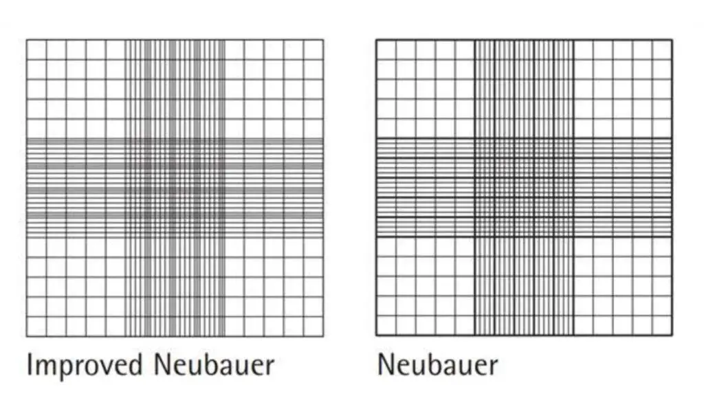 Hemocytometer and Haemocytometry