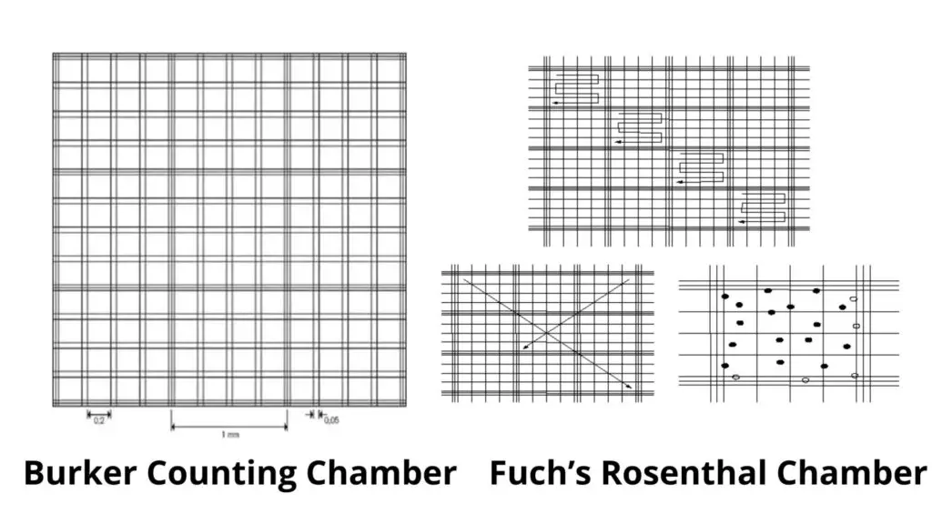 Hemocytometer and Haemocytometry
