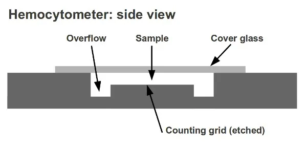 Hemocytometer and Haemocytometry