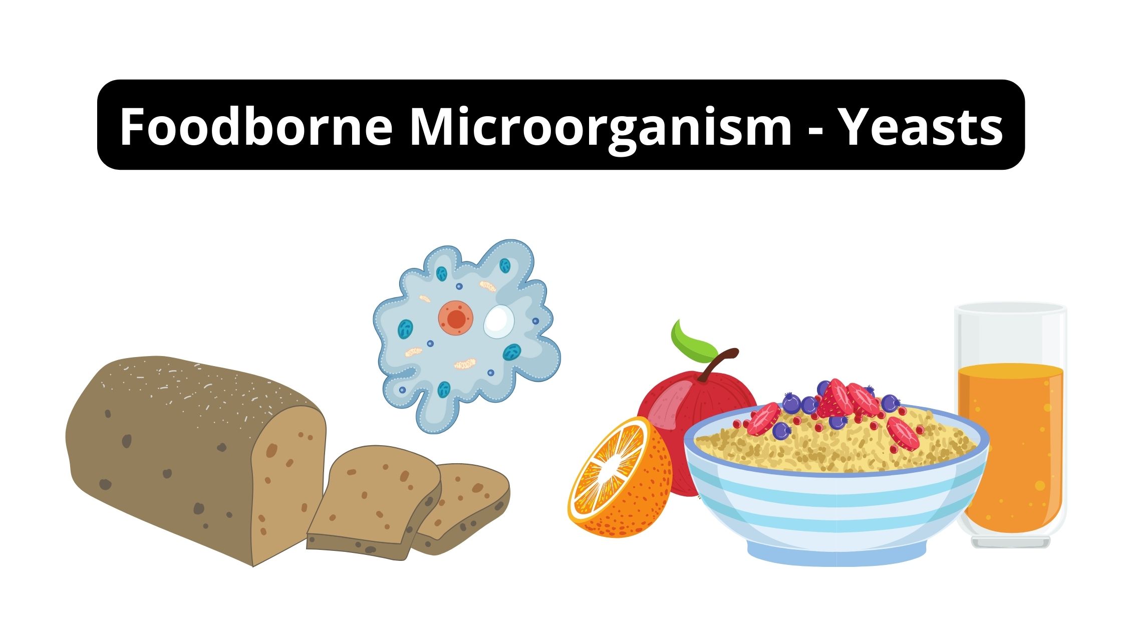 Foodborne Microorganism - Yeasts