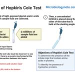 Hopkins Cole test (Adamkiewicz–Hopkins) Principle, Procedure, Result
