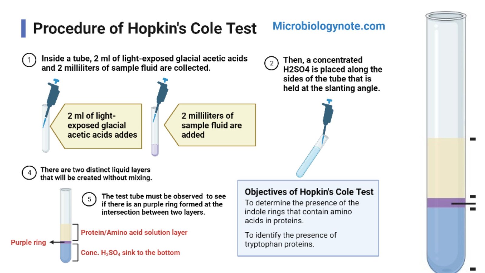 Hopkins Cole test (Adamkiewicz–Hopkins) Principle, Procedure, Result