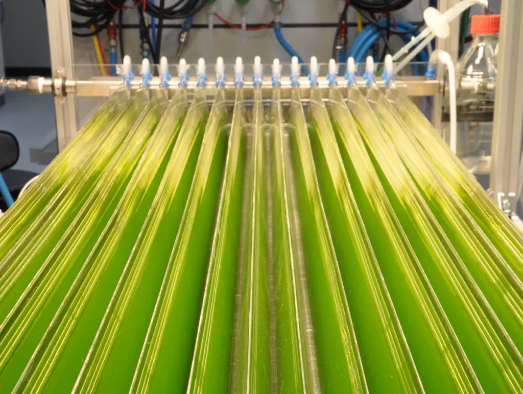 Horizontal photobioreactor