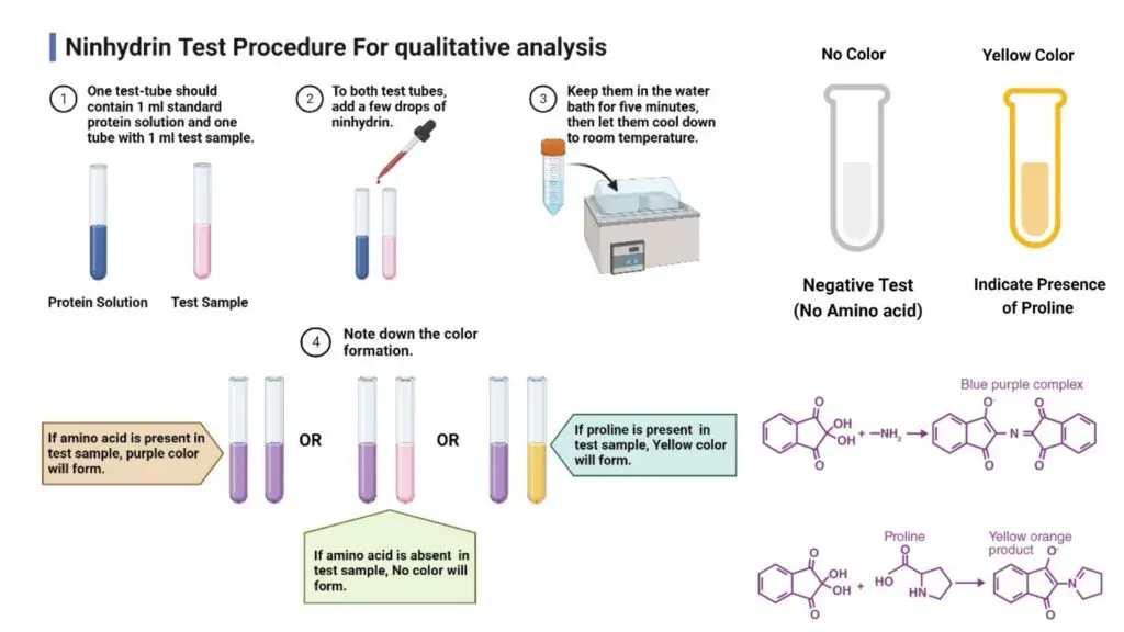 Ninhydrin Test Principle Procedure Result Uses Biology Notes Online