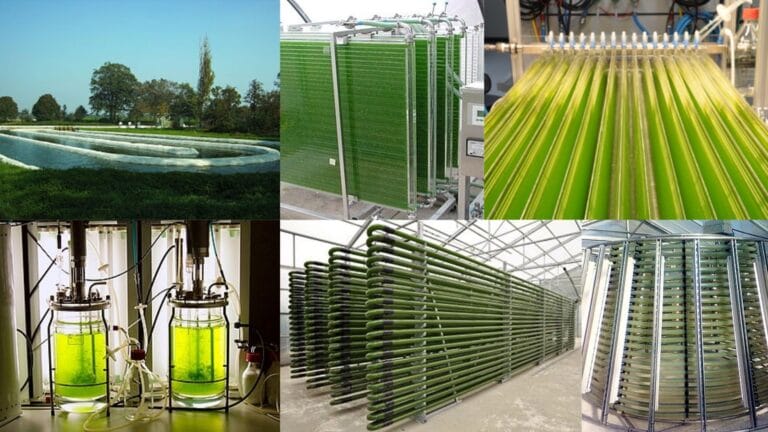 Photo bioreactor Definition, Types, Application, Advantages