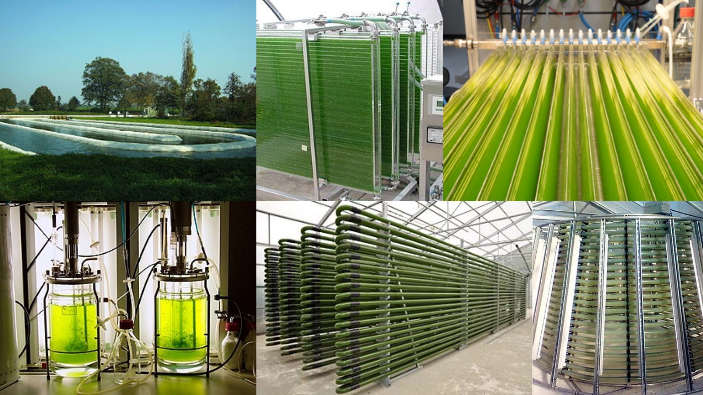 Photo bioreactor Definition, Types, Application, Advantages