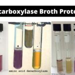 Decarboxylase Broth Protocol
