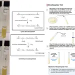 Decarboxylase Test Principle, Procedure, Results, Uses
