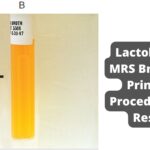Lactobacillus MRS Broth Test - Principle, Procedure, and Results