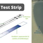 MIC Test Strip - Quantitative assay for determining the Minimum Inhibitory Concentration
