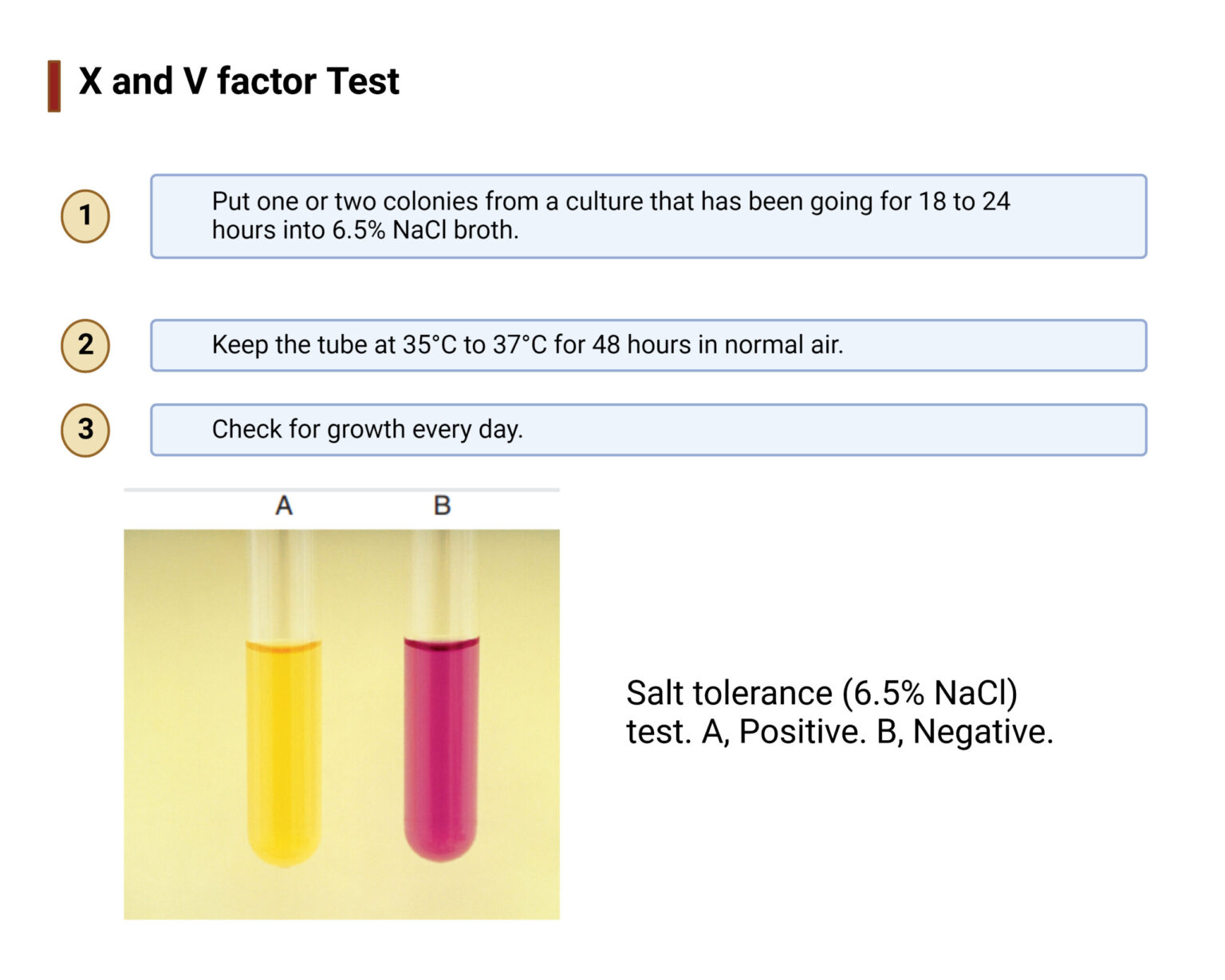 X and v factor test principle purpose procedure result biology